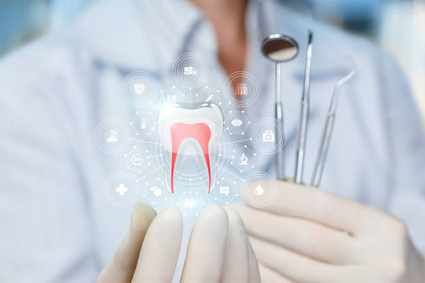 Best Teeth Whitening  in Stock Island, FL