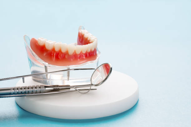 Best Dental Exams and Cleanings  in Stock Island, FL